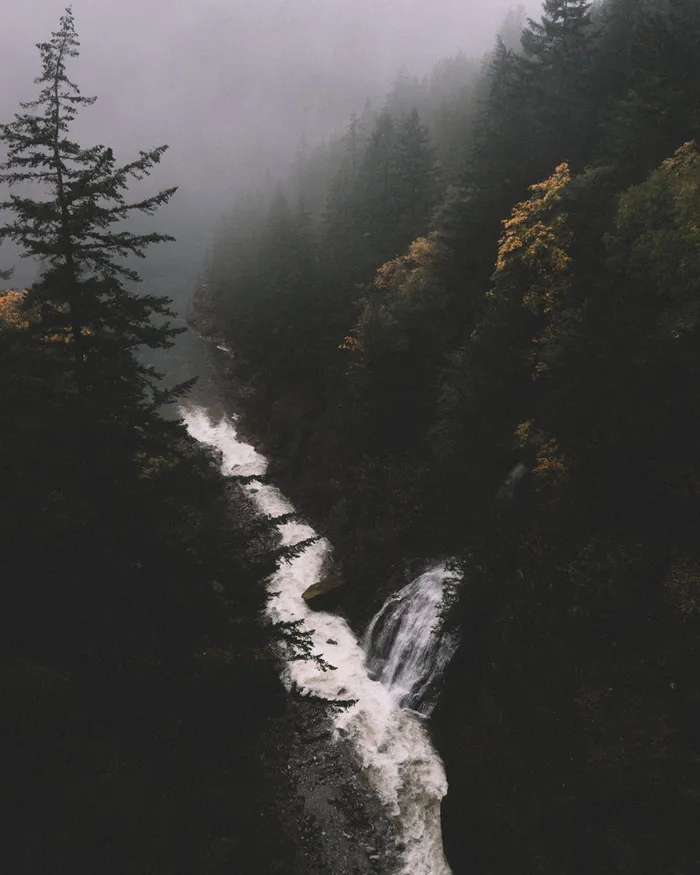 河流，水，自然，树木，植物，森林，山，小山