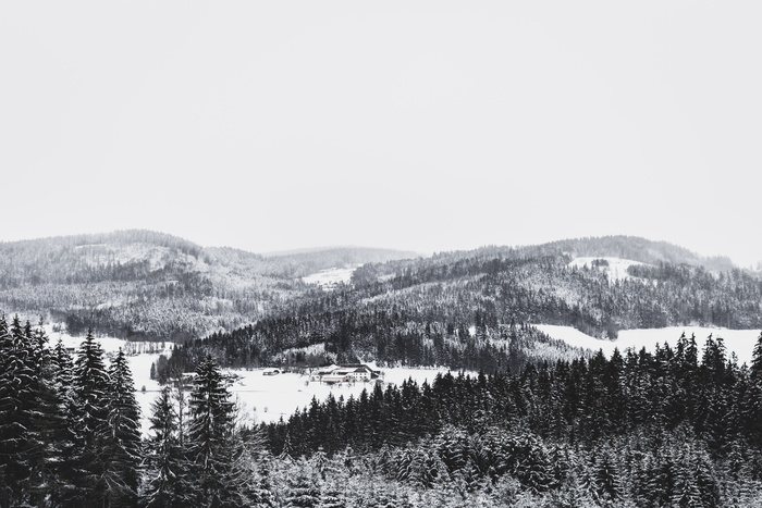 黑白, 山, 雪, 树, 冬天, 自然, 森林, 景观