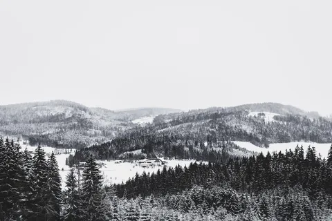 黑白, 山, 雪, 树, 冬天, 自然, 森林, 景观 黑白, 山, 雪, 树, 冬天, 自然, 森林, 景观