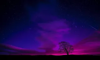 剪影、树木、白天、数字、壁纸、英国、天空、云