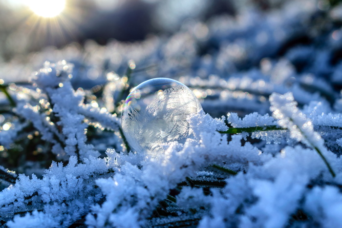 寒冷、霜冻、冰冻、冰、结冰、季节、雪、雪花