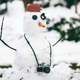 带摄像头的雪人 带摄像头的雪人