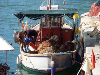 菲舍尔，意大利，厄尔巴岛，港口，船只，网络，船舶，海洋