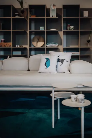 斯堪的纳维亚装饰枕头