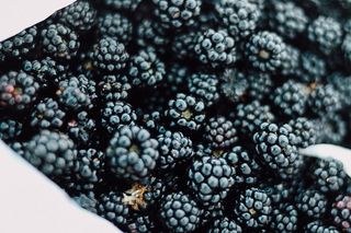 西班牙，西格恩扎，森林，黑莓，细节，35毫米，食品，食品和饮料