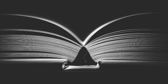 灰度摄影、书籍、黑暗、房间、装订、黑白、文学、教育