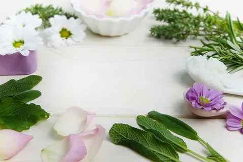 紫色,白色,花瓣花,排列,表面,草本,百里香,鼠尾草 紫色,白色,花瓣花,排列,表面,草本,百里香,鼠尾草