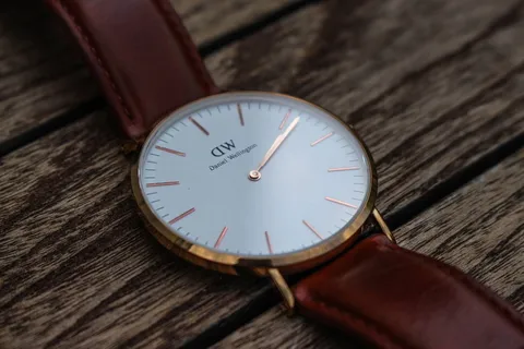手表，昂贵，豪华，丹尼尔·惠灵顿，dw，皮表带，时间，木质材料