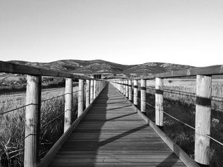 西班牙，加洛坎塔湖，森林，道路，方向，前进之路，天空