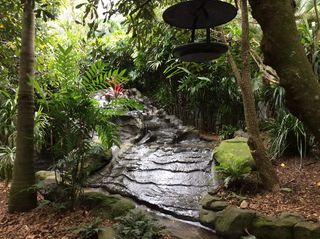 植物，树木，生长，自然，自然之美，无人，宁静，绿色