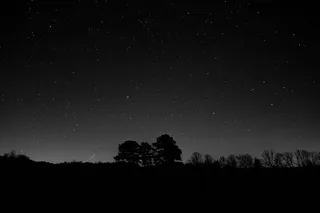 树木的轮廓，自然，轮廓，夜晚，天空，星星，流星，树木