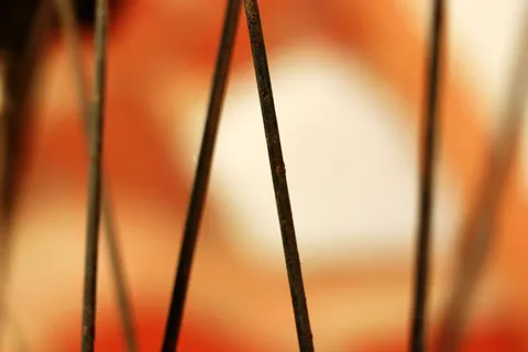 微距镜头中的棕色镜腿