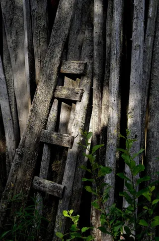 旧的，木制的，墙，谷仓，旧的木制墙，灰色，树干，没有人