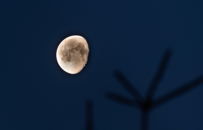 月亮，瘦身，发光，疼痛，黑暗，夜晚，天空，剪影