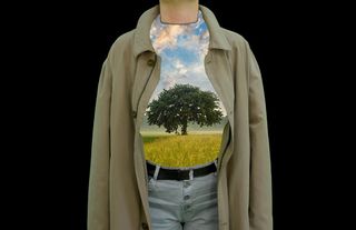 树，成长，内心，活着，生命之树，活着，一切都在我们心中成长，成长