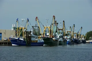 海洋、船只、水体、港口、船只、海运、货运、航海船舶