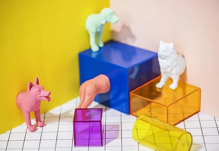 抽象，动物，背景，狗，猫，色彩丰富，概念，创意