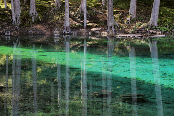 柏格西，镜像，水，银行，水反射，seespiegelung，田园诗，蓝色
