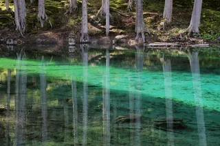 柏格西，镜像，水，银行，水反射，seespiegelung，田园诗，蓝色