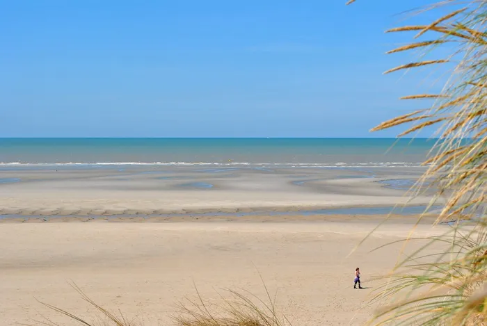 海滩、大海、人、低潮、海峡、法国、地平线、阳光