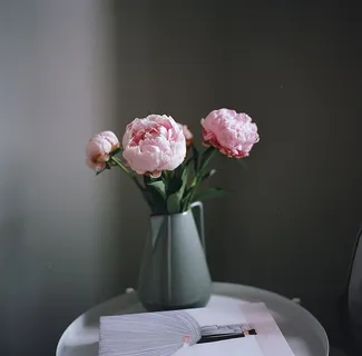 照片上的花朵 照片上的花朵