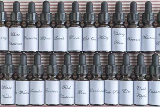 巴赫花, 巴赫花, 巴赫, 本质, 精华, 补救, 补救措施, 巴赫花精华