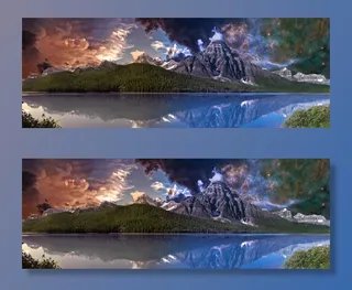 水体附近的绿树