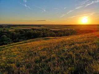 斯洛伐克，布拉迪斯拉发，桑德伯格，蓝天，晴朗的天空，草地，树木，田野