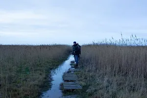 穿着黑色泡泡夹克的男人站在棕色的木箱路上