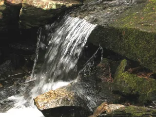美国，卡姆登，自然，森林，瀑布，森林，户外，瀑布