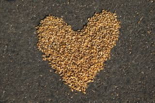 谷物、收获、农业、自然、大田作物、夏季、谷物、食品