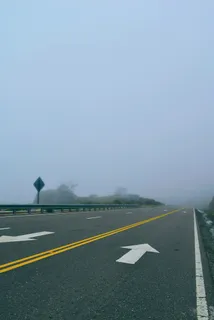 被雾覆盖的柏油路 被雾覆盖的柏油路