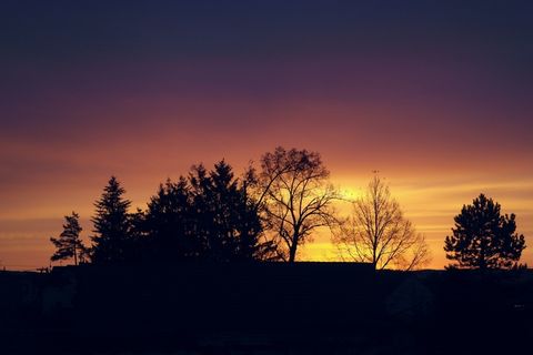 黎明，太阳，阴影，灿烂，早晨，很快，树，树