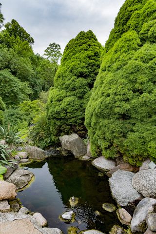 哥本哈根，丹麦，博物馆，旅游，建筑，欧洲，地标，旅游
