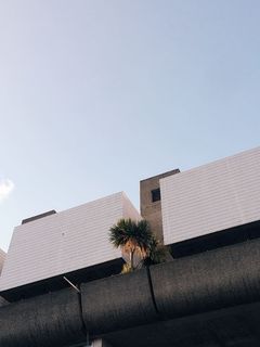 建筑物的低角度拍摄