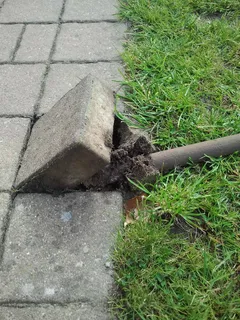 石头、花园、工作、人行道、人行道、植物、白天、自然