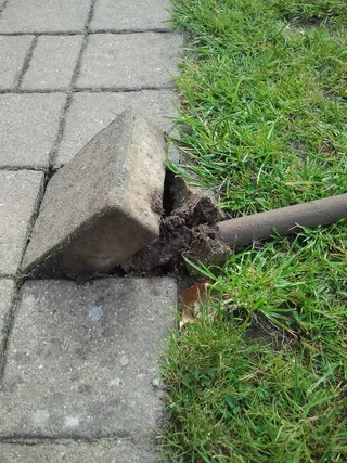 石头、花园、工作、人行道、人行道、植物、白天、自然