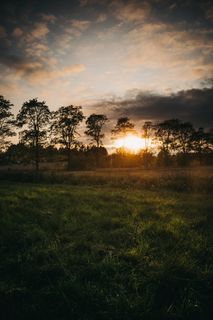 芬兰，森林，广角，风景，日落，太阳，黑暗，田野