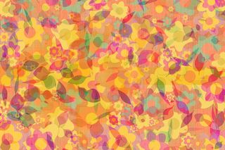 紫色, 黄色, 红色, 花的, 图形, 鲜花, 叶子, 秋季