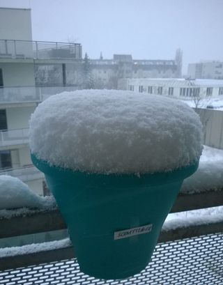 雪，冬季，冬季大风，建筑外观，建筑，冬季，建筑结构，白天