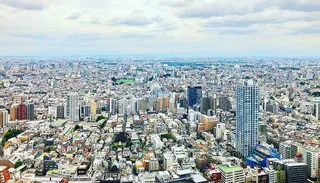 新宿，东京，西新宿，城市，城市景观，日本，都市区，建筑外观