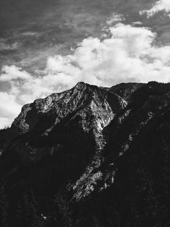 加拿大、菲尔德、yoho国家公园、自然、山脉、yoho、单色、黑白