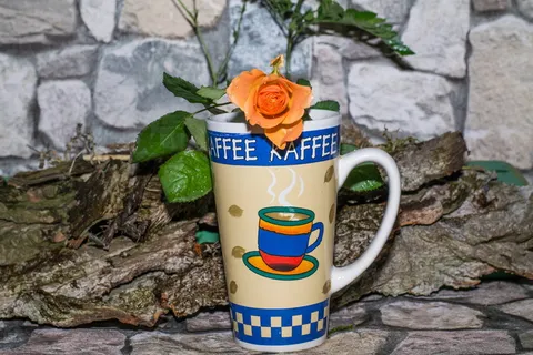 杯子、玫瑰、墙、h、mauck、植物、文字、花