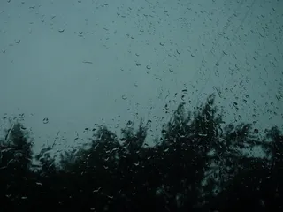 雨，云，部分多云，树木，黑暗，水，窗户，没有人