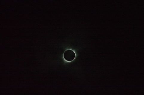 日食,2017日食,日冕,太空,天文学,夜晚,黑暗,月亮 日食,2017日食,日冕,太空,天文学,夜晚,黑暗,月亮