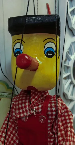 木偶，匹诺曹，剧院，一人，红色，人，室内，成人