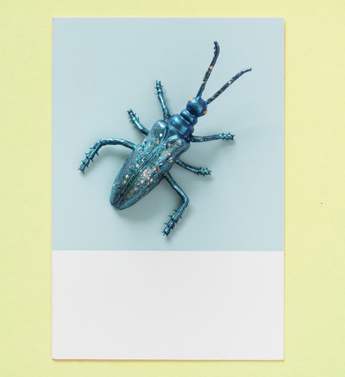 摘要, 动物, 背景, 蓝色, Bug, 卡, 多彩, 概念
