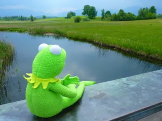 sesame street kermit、frog、plush、toy、gray、fence、landscape、staffelsee