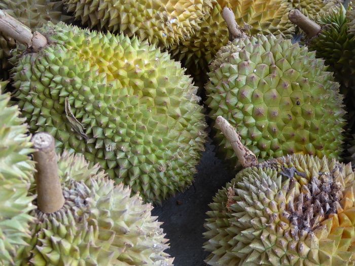 榴莲、爪哇、印尼、水果、食品、亚洲、绿色、无人