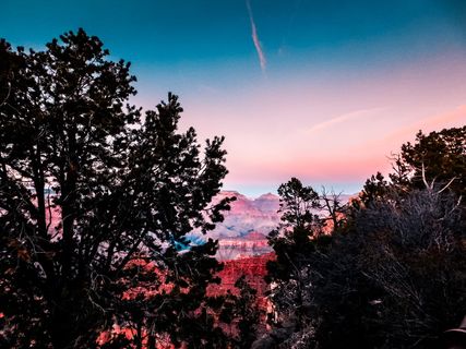 山脉附近的树木剪影